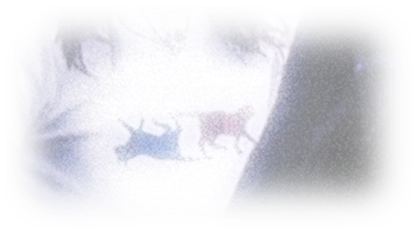 Grainy blue-white image containing two small animal silhouettes and a dark obstruction